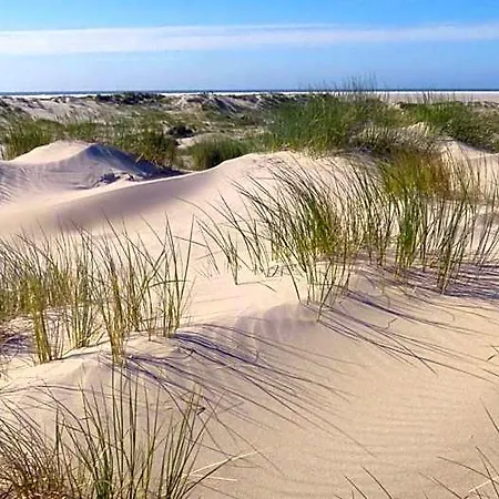 Kaap2 * Borkum